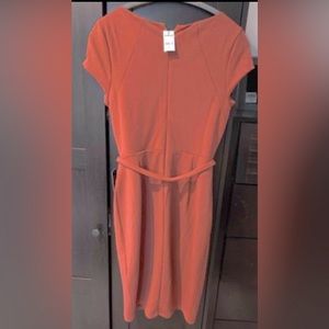 NWT Women’s Express Coral Bodycon Dress Size M